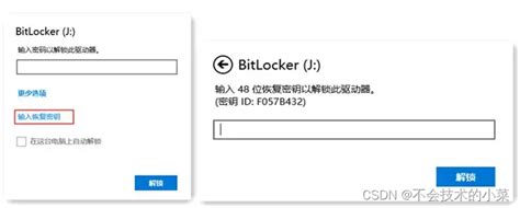 Hack BitLocker 的图像结果