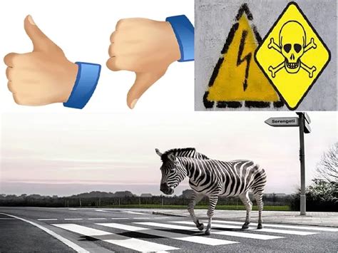 General Knowledge Sign 的图像结果