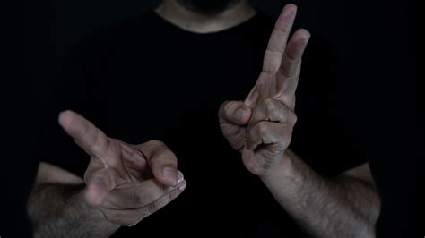 Image result for Sign Language Performance