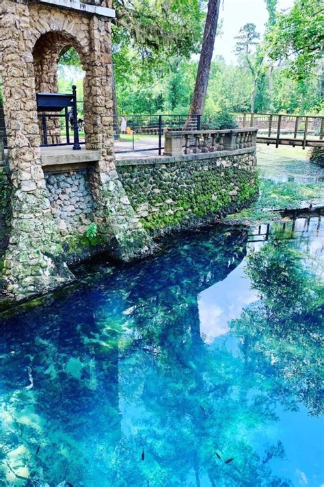 Radium Springs Gardens | Radium springs, Spring garden, 7 natural wonders