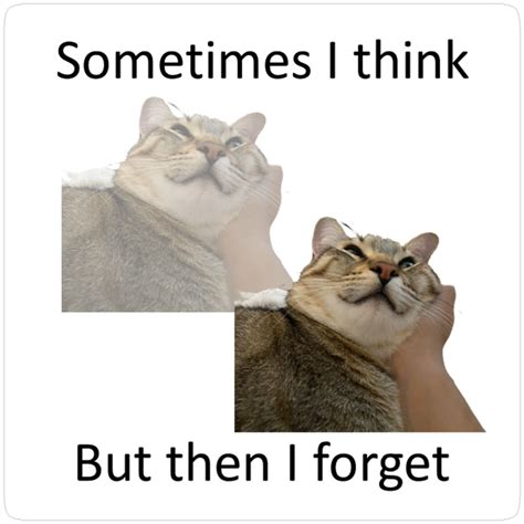 Sometimes I Think But Then I Forget - Cat Meme Sticker in 2025 | Memes ...