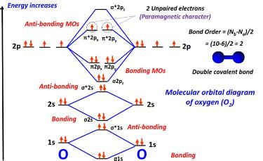 O2 Covalent Bond 的图像结果
