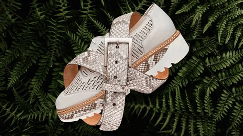 Image result for Fortnite Python