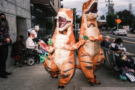 Among Portland Protests, It's Frogs and Sharks and Bears, Oh My! - The ...