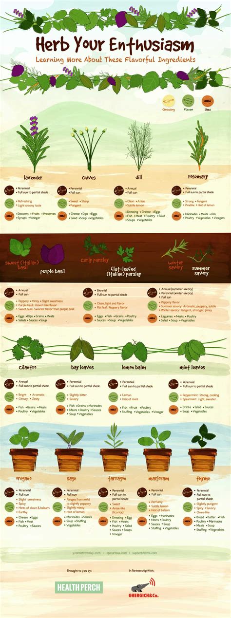 Guide to growing and using Herbs [Infographic] – ecogreenlove