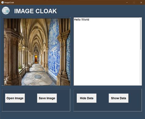 Image result for Image Steganography Using Python Computer Vision