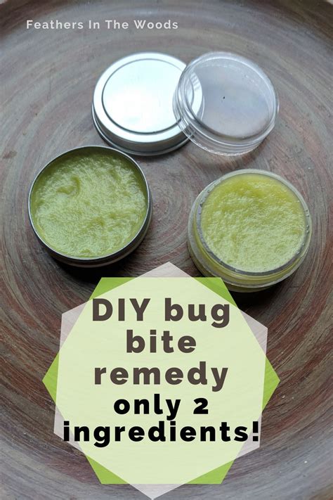 2 ingredient natural bug bite remedy | Bug bites remedies, Natural bug bite remedy, Natural bug bite