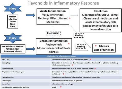 Structure-Activity Association of Flavonoids in Lung Diseases