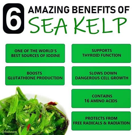 Benefits Sea Kelp at Trevor Roy blog