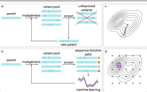 Image result for Machine Learning for Protein Engineering