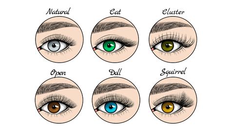Lash styles for different eye shapes - guglgeorgia