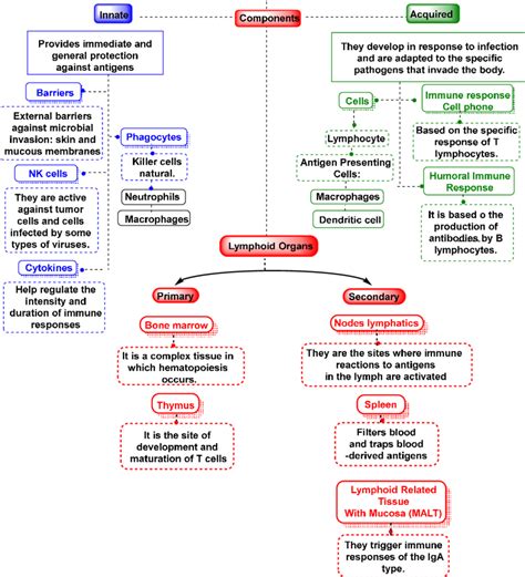 Image result for Adaptive Control System in Human Body