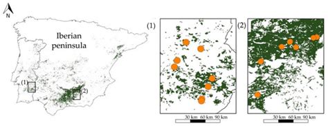 A Comparison of IPM and Organic Farming Systems Based on the Efficiency ...