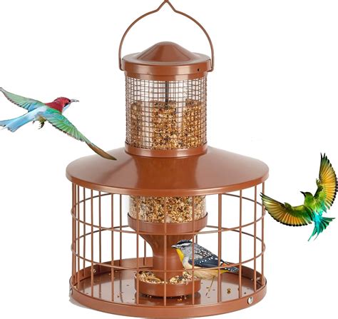 Amazon.com : Caged Bird Feeders Squirrel-Proof, Metal, 2.8 Lbs Capacity ...