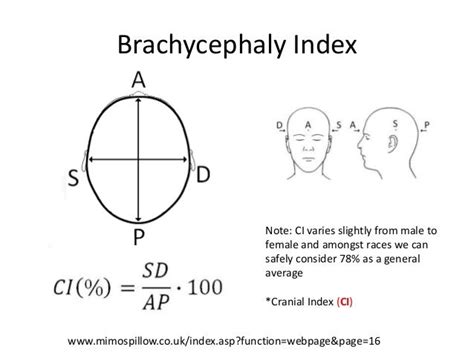 Image result for Identity Conditional or Inconsistent Examples