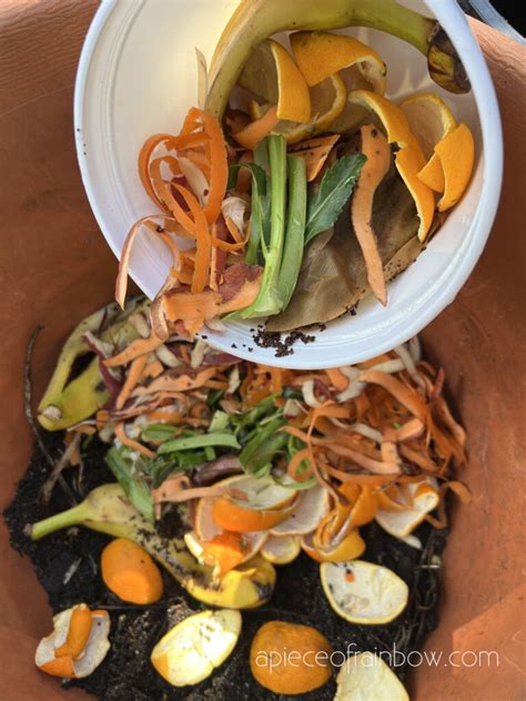 How to Compost 的图像结果