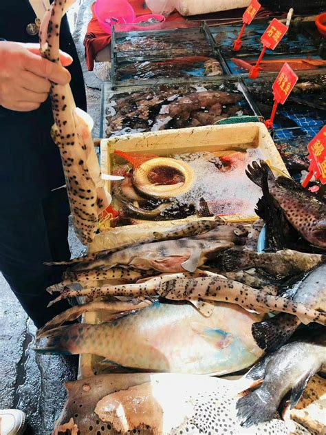 厦门首家高端海鲜姿造：环球海鲜盛宴