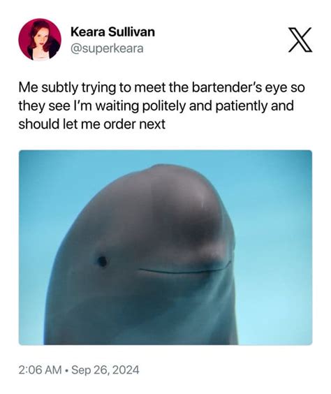 Smiling Dolphin Memes: 25 of the Newest Happy Meme
