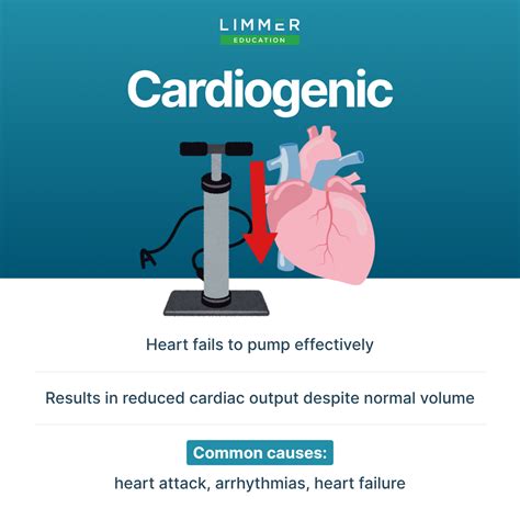 The Four Types of Shock - Limmer Education