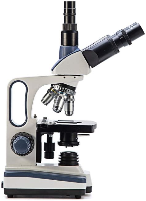 Image result for Compound vs Dissecting Microscope