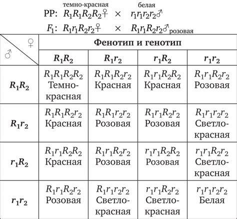 Полимерия - Генетика
