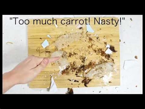 Image result for HowToBasic Destroys