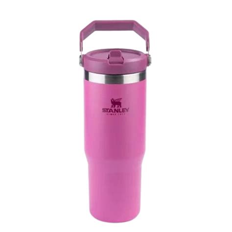 Borraccia Stanley Flip Straw 2.0 Da 0.7L - Mantiene Il Freddo 2 Giorni Con Ghiaccio, Acciaio Inox, Senza BPA