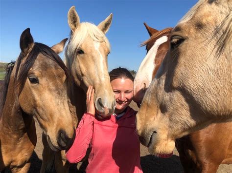 Young horse training 2026 - Yeguada La Perla