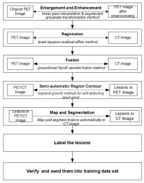 Intelligent Labeling of Tumor Lesions Based on Positron Emission ...