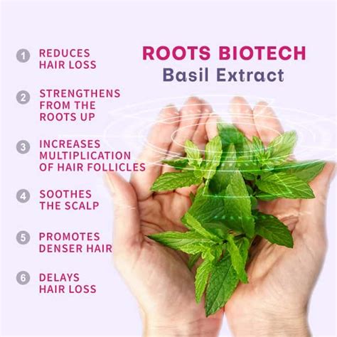 Buy ANVEYA ROOTS BAN THE FALL HAIR OIL-IN SERUM 120ML | FOR HAIR FALL ...