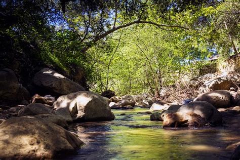 Kuvatulokset haulle rocky nook park santa barbara