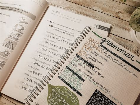 My Study Routine 的图像结果