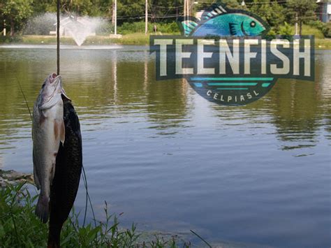 Kansas Lifetime Fishing Licenses: Your Complete 2025 Guide - TeenFish