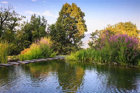 River Pool 的图像结果