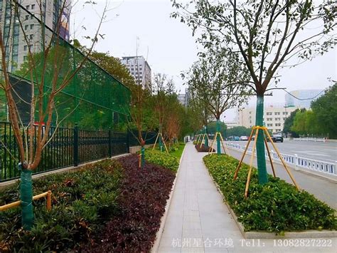 绿化-绿化施工-市政设施系列-产品中心-江苏清美紫辰环境艺术工程有限公司
