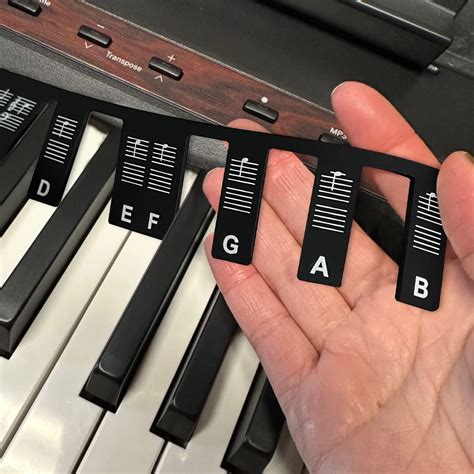 Image result for 36 Key Keyboard Notes Stickers