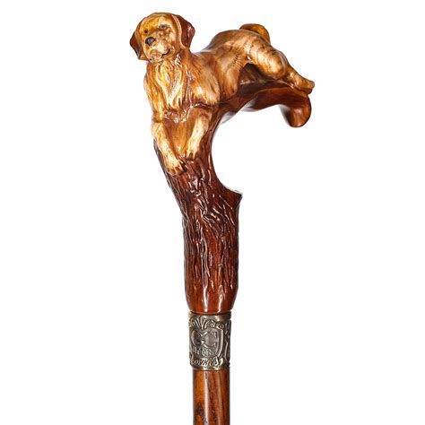 Image result for Cane Labrador