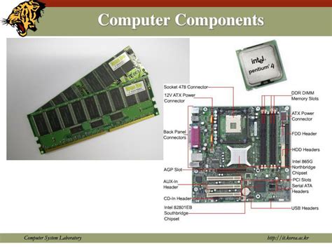 Discussion of Componets of Computer 的图像结果