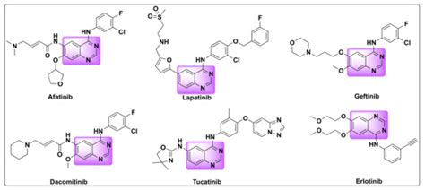 Quinazoline Based HDAC Dual Inhibitors as Potential Anti-Cancer Agents