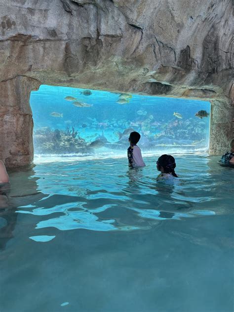 Petite Vacation Outfits + Baha Mar Bahamas Review