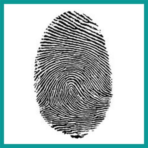 Image result for Basic Patterns of Fingerprints