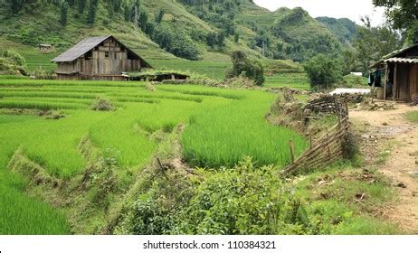 Image result for Hmong Musical Instruments