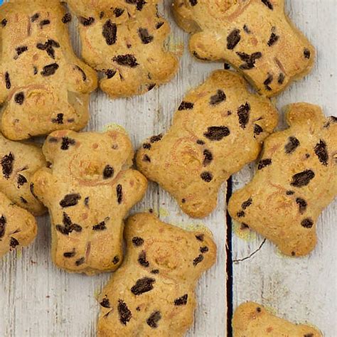 Teddy Grahams Chocolatey Chip Graham Snacks - 10 oz | Delicious and ...