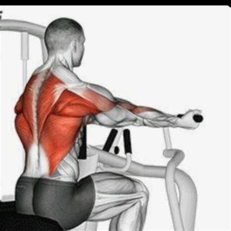 Image result for Row Machine Workouts