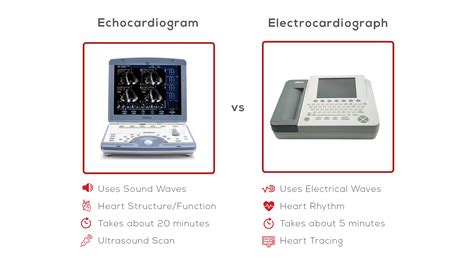 Eeg Vs Ecg
