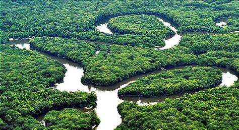 Know about the mysterious rain forests of Amazon