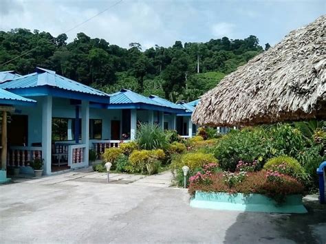 Travel Guide to Radhanagar Beach, Andaman: Top Beach in Asia