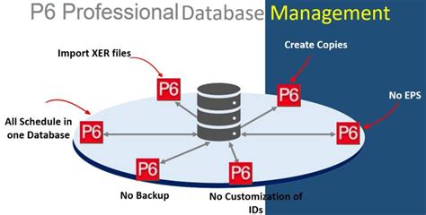 Image result for P6 Database