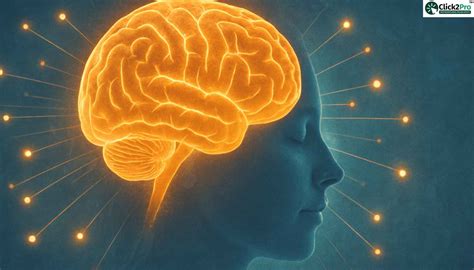 Affirmation & the Brain: What Neuroscience Reveals