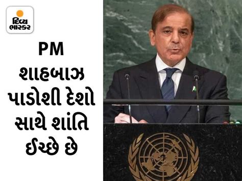 Shahbaz said- a permanent solution should be brought; Seeking financial ...